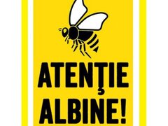 Placute atentie albine