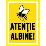 Placute atentie albine